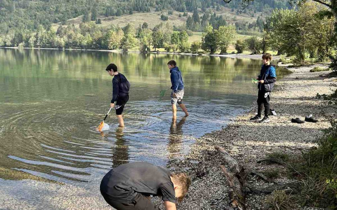 Sedmošolci spoznavajo Bohinjsko jezero