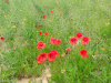 image-0-02-04-f36f7bb7395c662e9183fbf7e7c23c10782ad55ee9fc9f263957208cd3df8c79-v